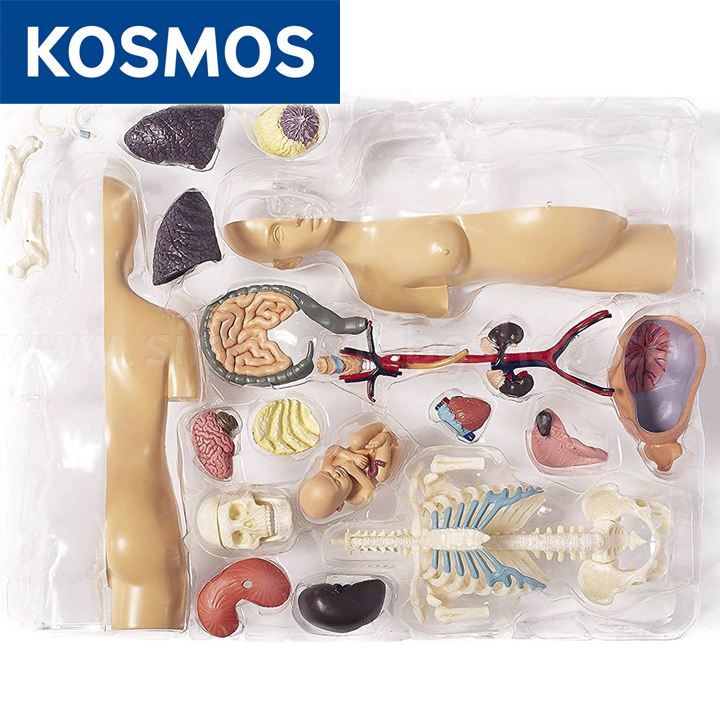 Thames&Kosmos      260840